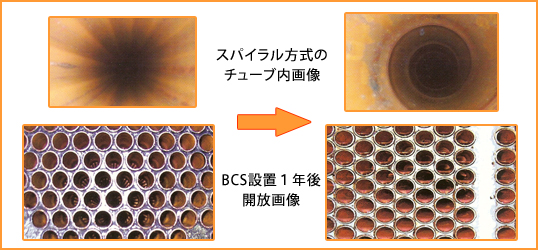 スパイラル方式のチューブ内、BCS設置1年後開放画像