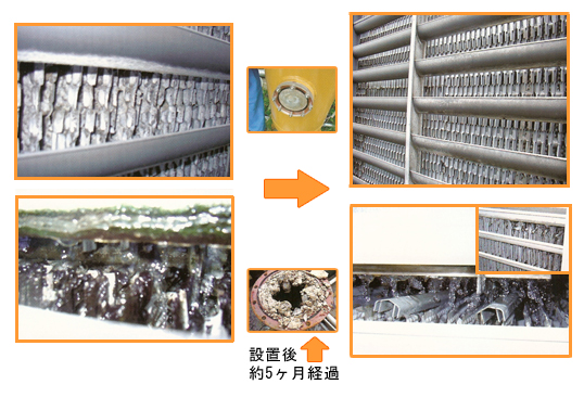 茨城県C社 設置後約2ヶ月経過画像