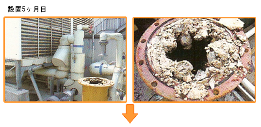 �ݒu5������